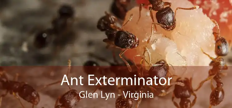 Ant Exterminator Glen Lyn - Virginia