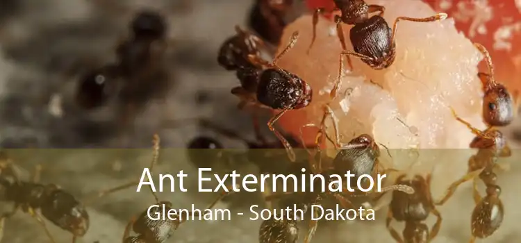 Ant Exterminator Glenham - South Dakota
