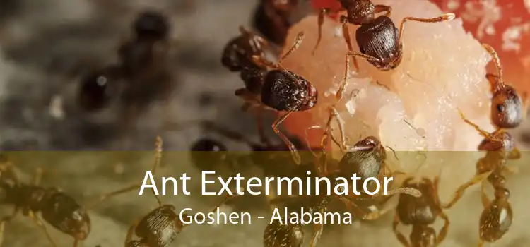Ant Exterminator Goshen - Alabama
