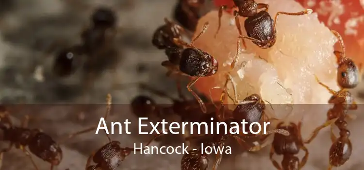 Ant Exterminator Hancock - Iowa