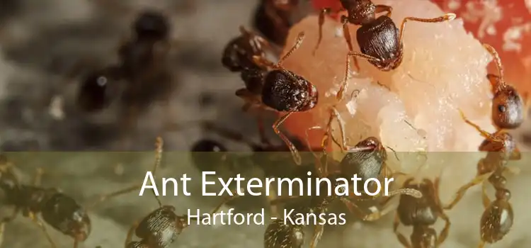 Ant Exterminator Hartford - Kansas