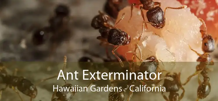 Ant Exterminator Hawaiian Gardens - California
