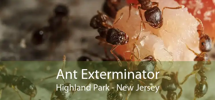Ant Exterminator Highland Park - New Jersey