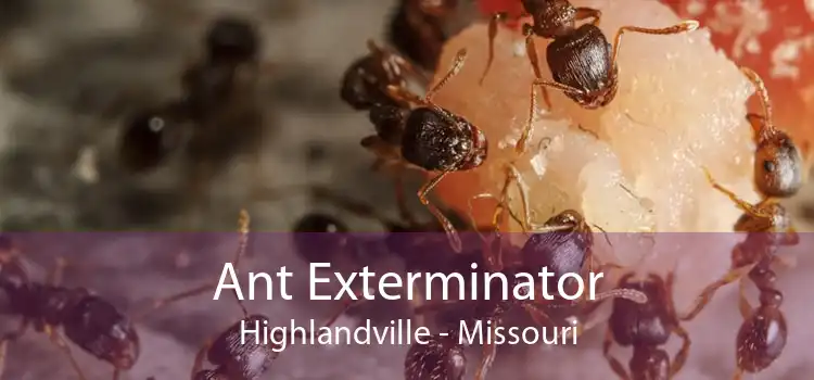 Ant Exterminator Highlandville - Missouri