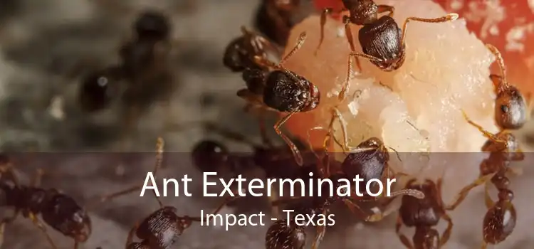 Ant Exterminator Impact - Texas