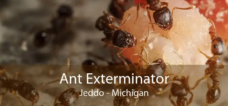 Ant Exterminator Jeddo - Michigan