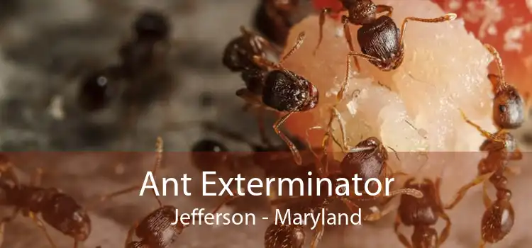Ant Exterminator Jefferson - Maryland