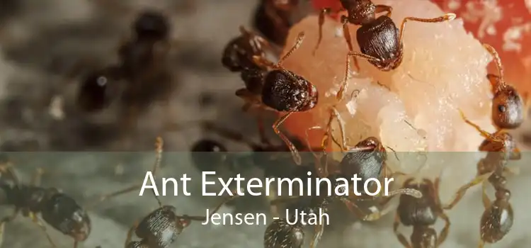 Ant Exterminator Jensen - Utah