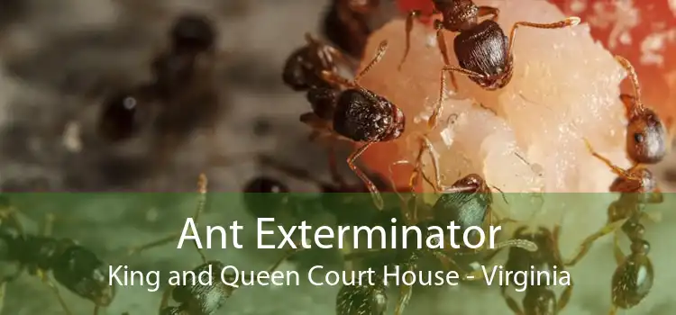 Ant Exterminator King and Queen Court House - Virginia