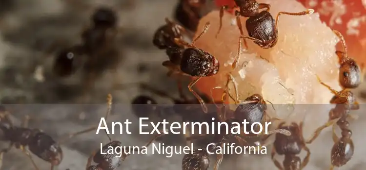 Ant Exterminator Laguna Niguel - California