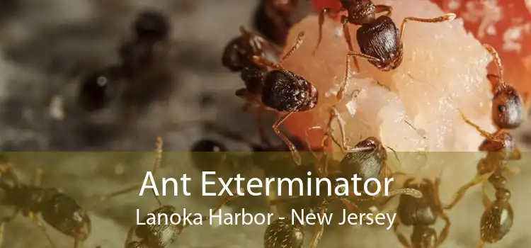Ant Exterminator Lanoka Harbor - New Jersey