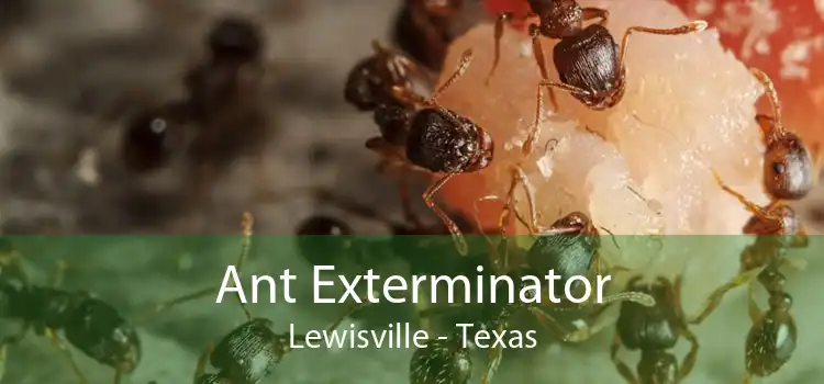 Ant Exterminator Lewisville - Texas