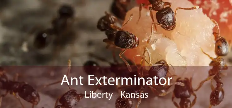 Ant Exterminator Liberty - Kansas