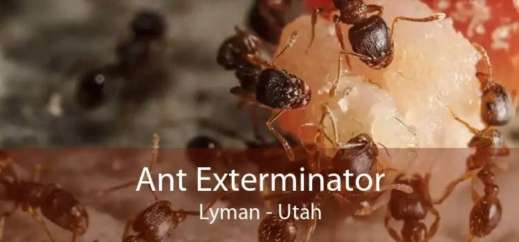 Ant Exterminator Lyman - Utah