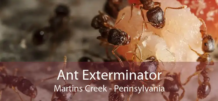 Ant Exterminator Martins Creek - Pennsylvania