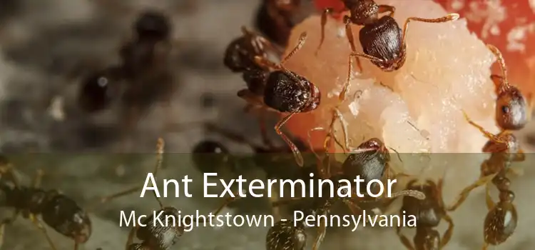 Ant Exterminator Mc Knightstown - Pennsylvania