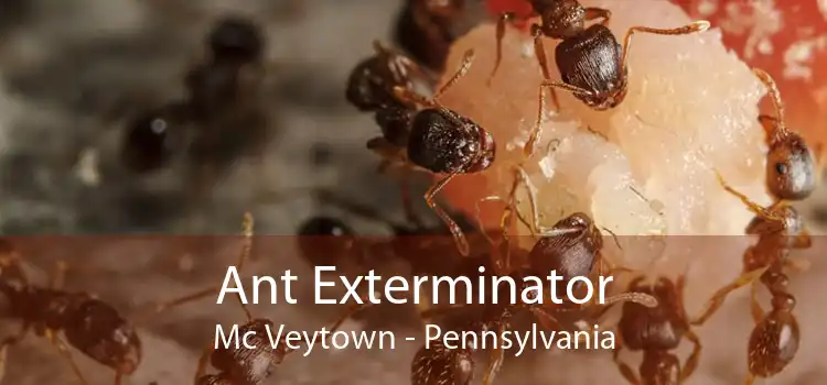 Ant Exterminator Mc Veytown - Pennsylvania