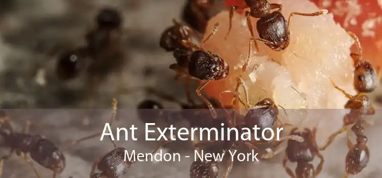 Ant Exterminator Mendon - New York