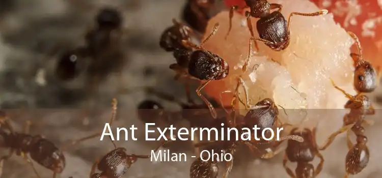 Ant Exterminator Milan - Ohio