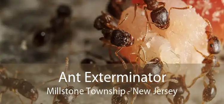 Ant Exterminator Millstone Township - New Jersey