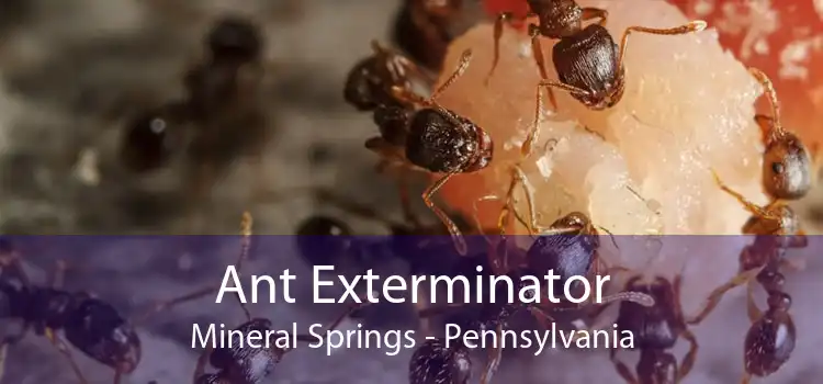Ant Exterminator Mineral Springs - Pennsylvania