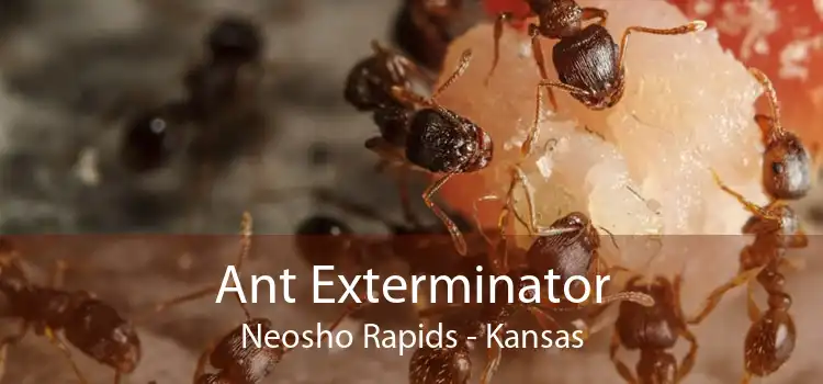 Ant Exterminator Neosho Rapids - Kansas