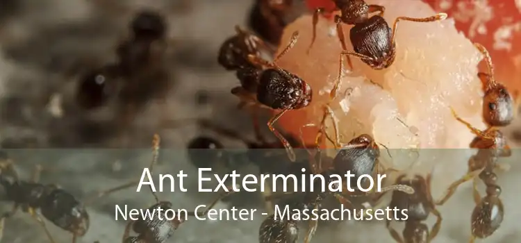 Ant Exterminator Newton Center - Massachusetts