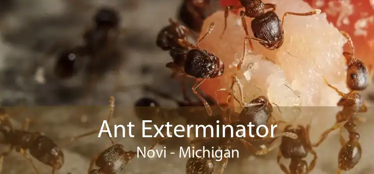 Ant Exterminator Novi - Michigan