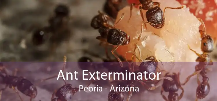 Ant Exterminator Peoria - Arizona