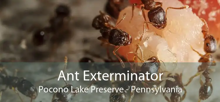 Ant Exterminator Pocono Lake Preserve - Pennsylvania