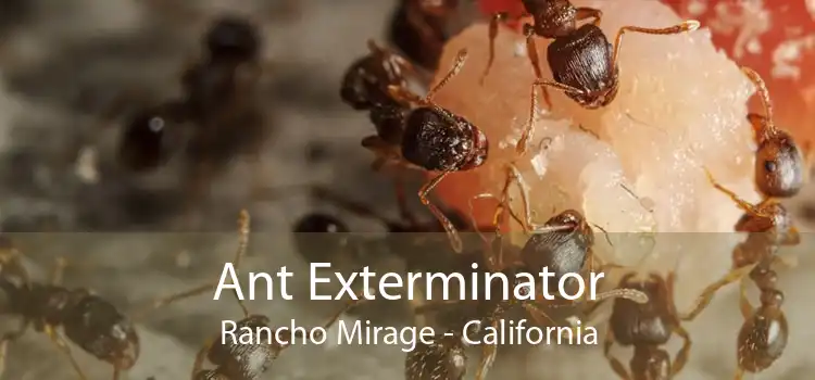 Ant Exterminator Rancho Mirage - California