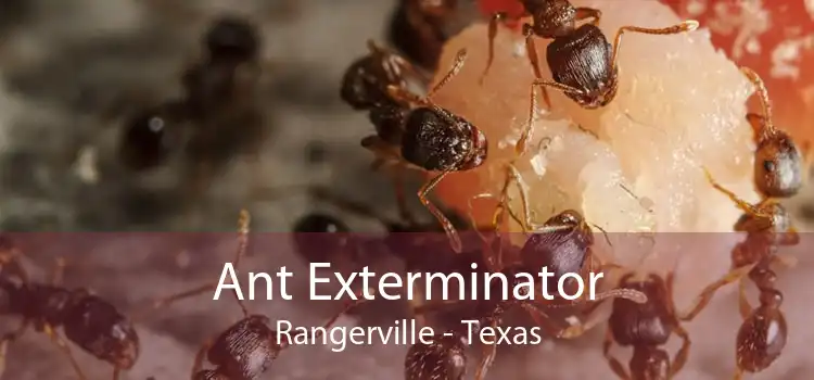 Ant Exterminator Rangerville - Texas