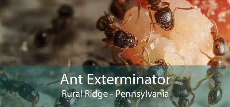 Ant Exterminator Rural Ridge - Pennsylvania