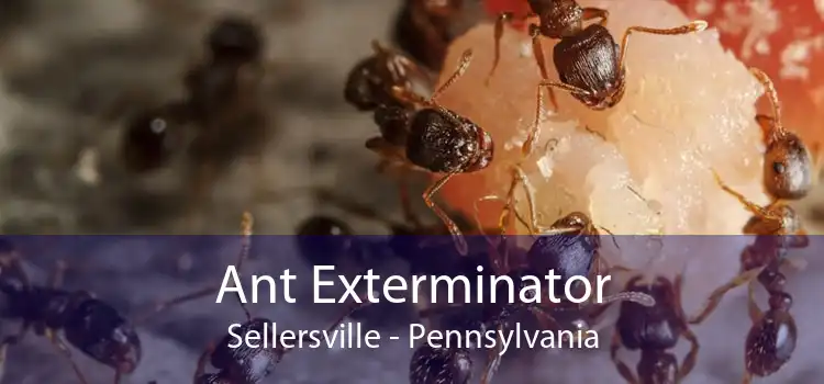 Ant Exterminator Sellersville - Pennsylvania