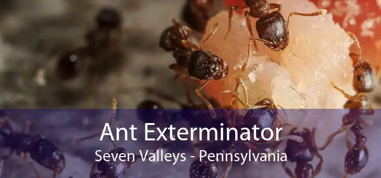 Ant Exterminator Seven Valleys - Pennsylvania