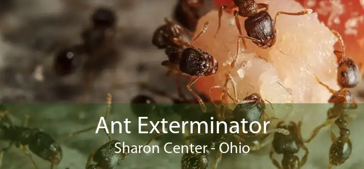 Ant Exterminator Sharon Center - Ohio