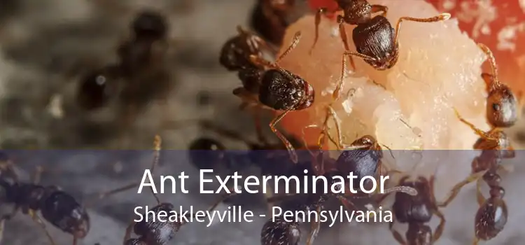 Ant Exterminator Sheakleyville - Pennsylvania