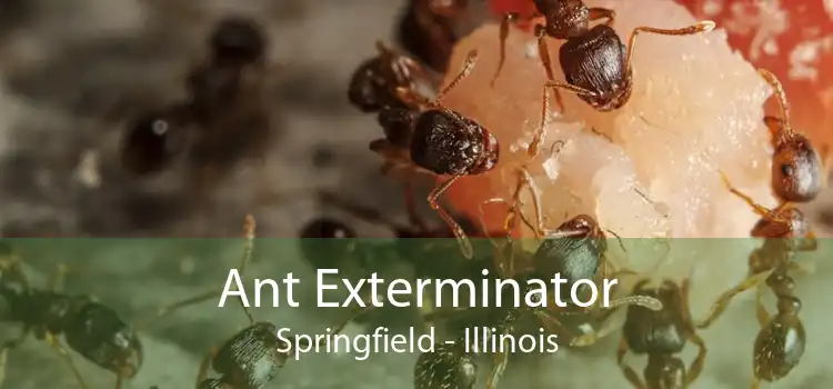 Ant Exterminator Springfield - Illinois