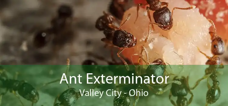 Ant Exterminator Valley City - Ohio