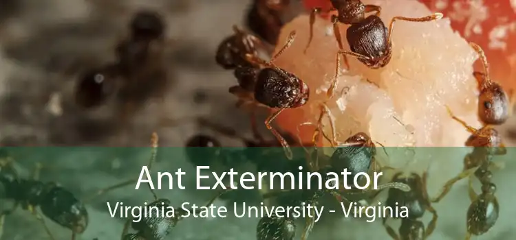 Ant Exterminator Virginia State University - Virginia