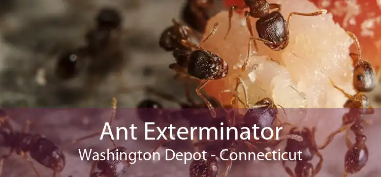 Ant Exterminator Washington Depot - Connecticut