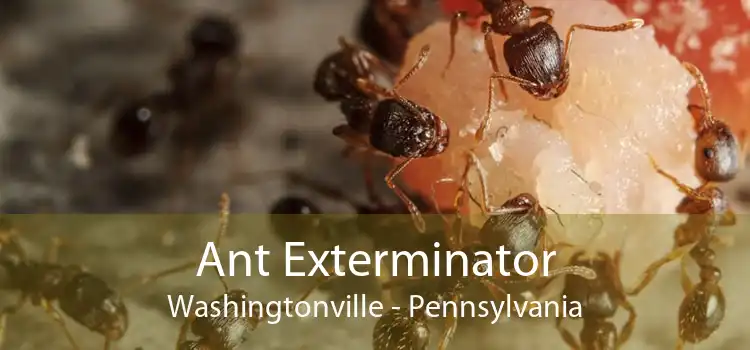 Ant Exterminator Washingtonville - Pennsylvania