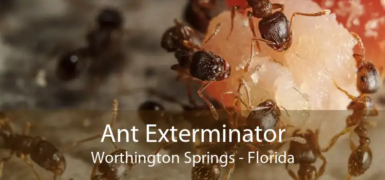 Ant Exterminator Worthington Springs - Florida