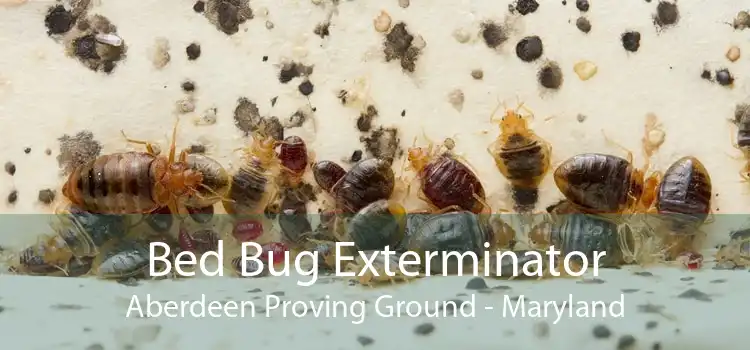 Bed Bug Exterminator Aberdeen Proving Ground - Maryland