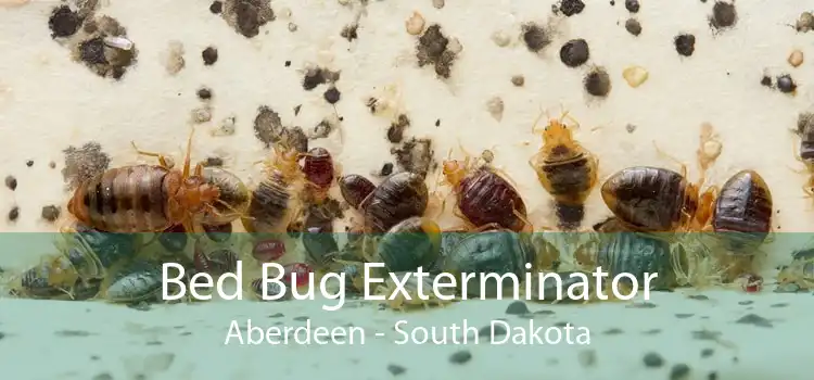 Bed Bug Exterminator Aberdeen - South Dakota