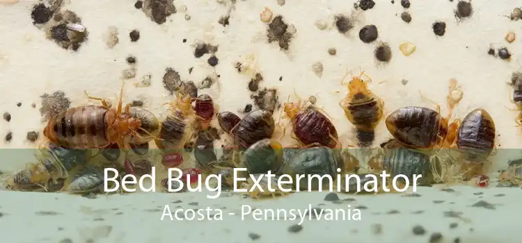 Bed Bug Exterminator Acosta - Pennsylvania