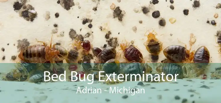 Bed Bug Exterminator Adrian - Michigan