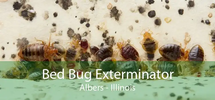 Bed Bug Exterminator Albers - Illinois