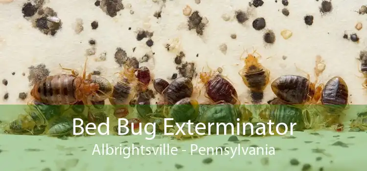 Bed Bug Exterminator Albrightsville - Pennsylvania