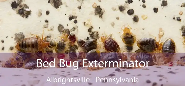 Bed Bug Exterminator Albrightsville - Pennsylvania